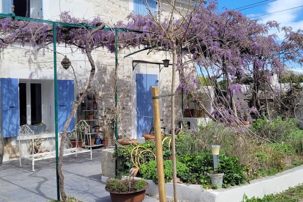 Location Appartement Dans Mas Provencal Monteux Extérieur photo
