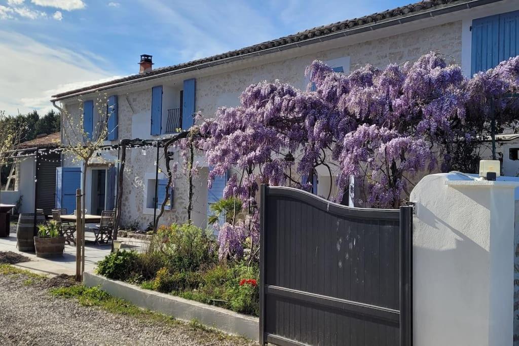 Location Appartement Dans Mas Provencal Monteux Extérieur photo