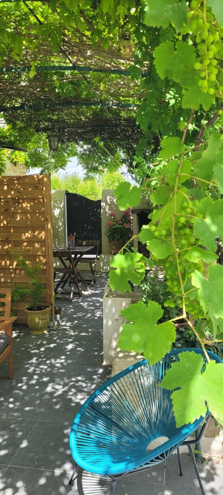 Location Appartement Dans Mas Provencal Monteux Extérieur photo